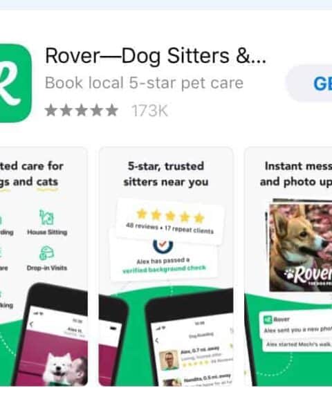 rover app - dog and cat sitters