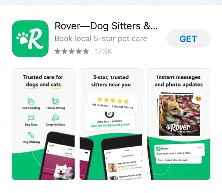 Rover dog walking hot sale service