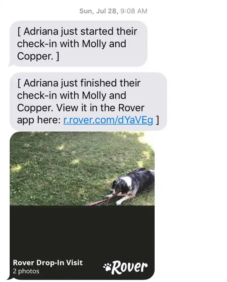 My conversation with a pet sitter from the Rover app. My Completely Honest Rover Pet Sitting App Review
