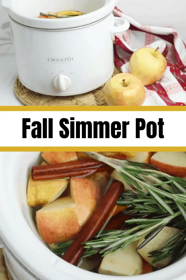 Fall Simmer Pot for apple spice