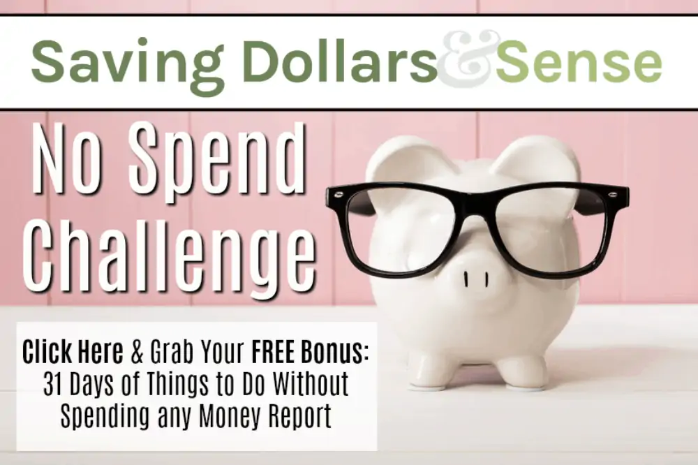 No spend challenge. How to not spend money.