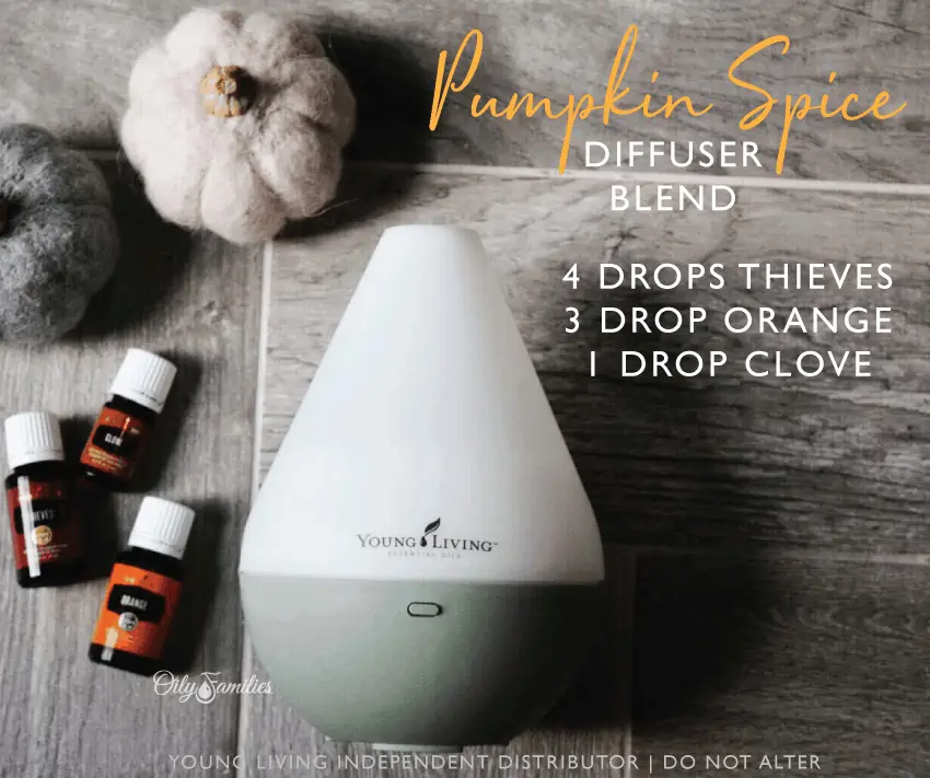 FREE Fall Diffuser Recipes Book