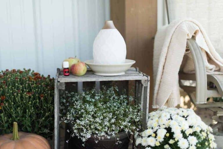 FREE Fall Diffuser Recipes Book