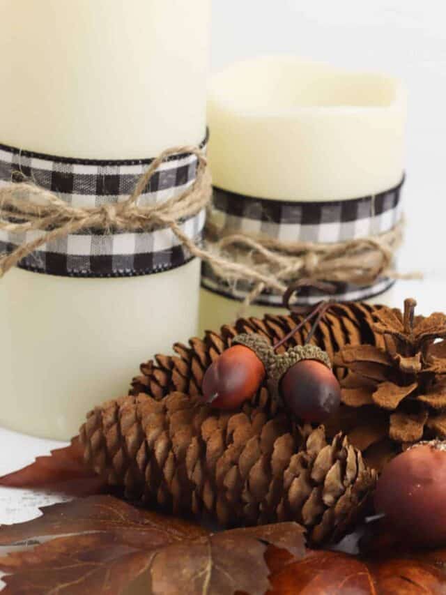 How to Make Cinnamon Scented Pine Cones Story