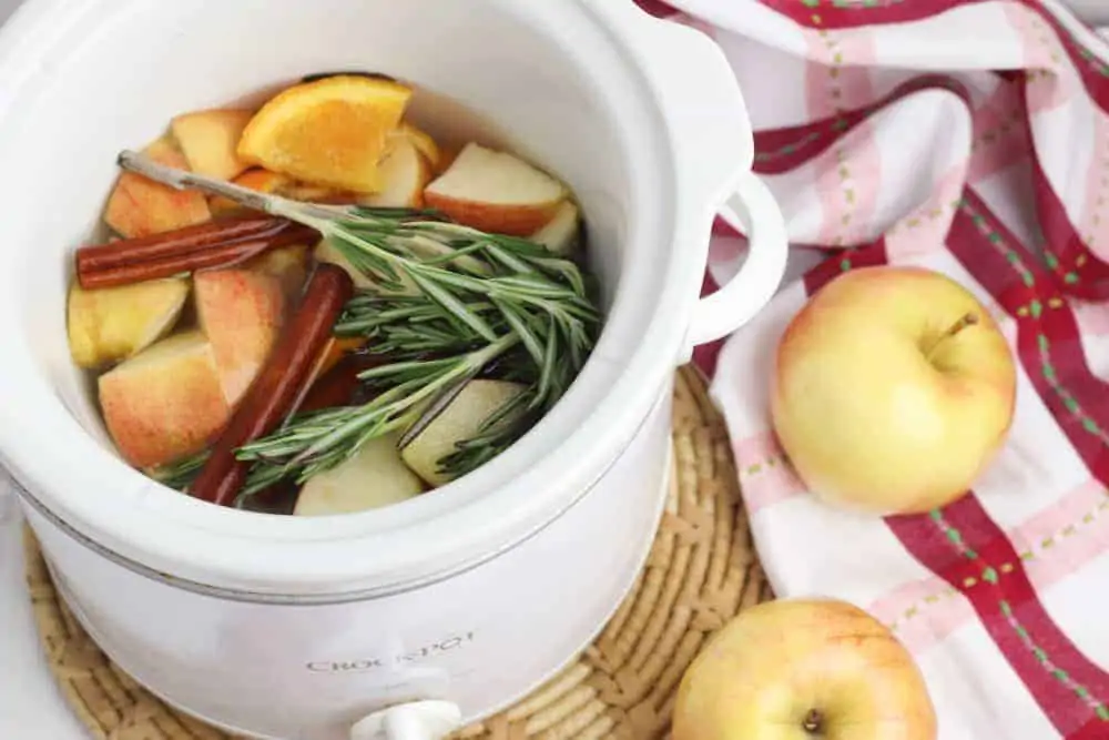 9 Fall Simmer Pot Recipes (Crock Pot Potpourri)