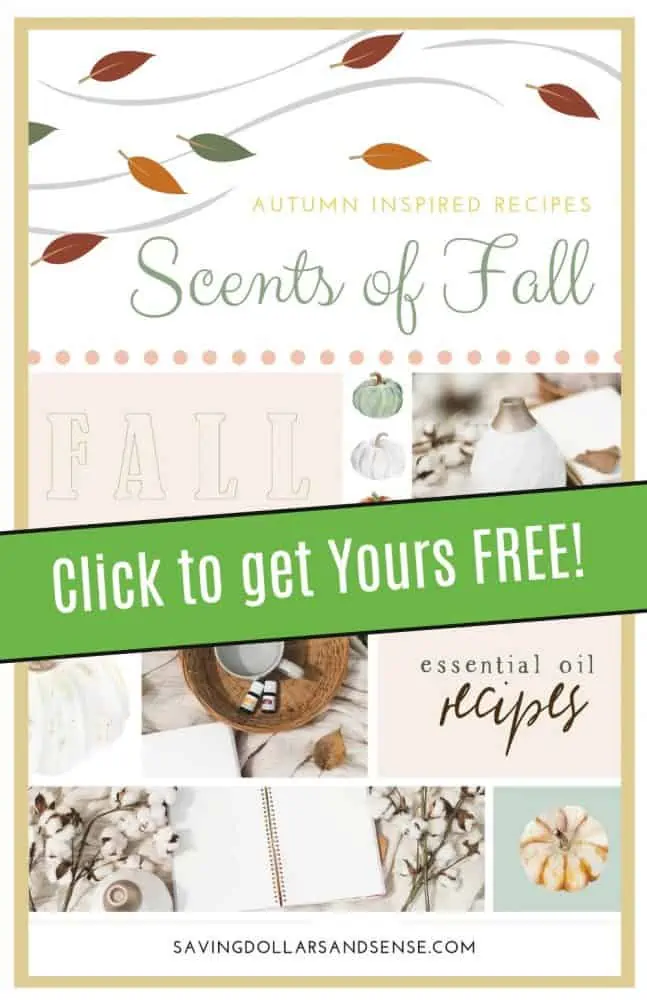 FREE Fall Diffuser Recipes Book