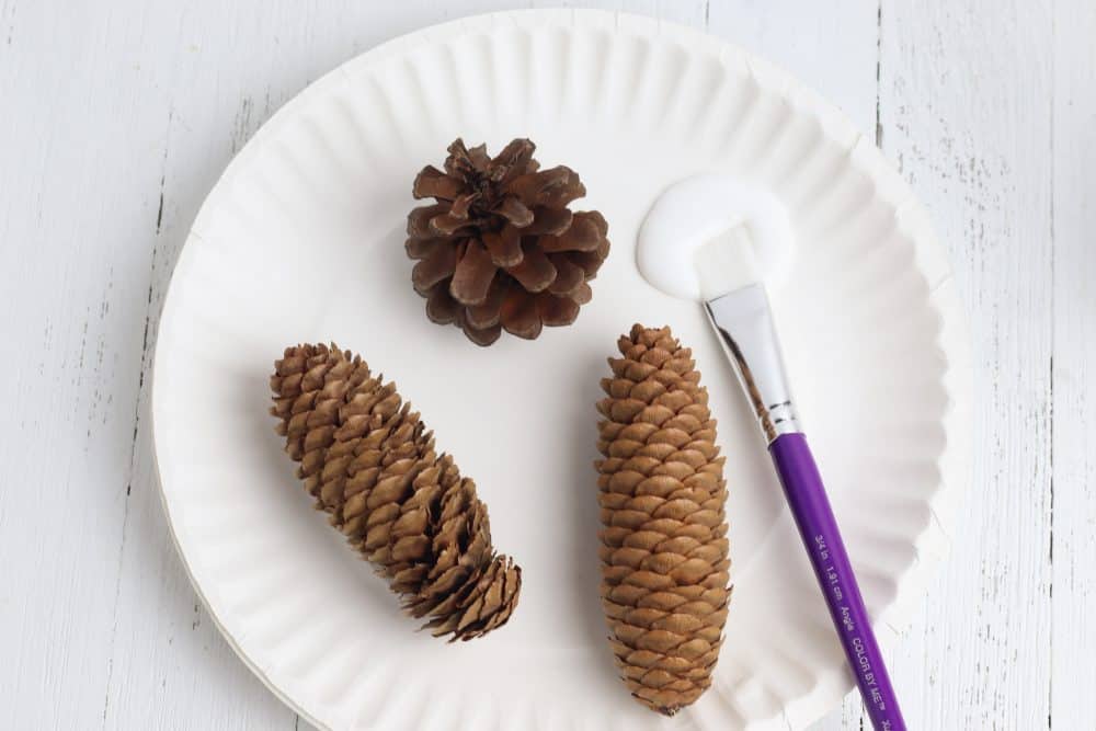How to Make Cinnamon Pine Cones