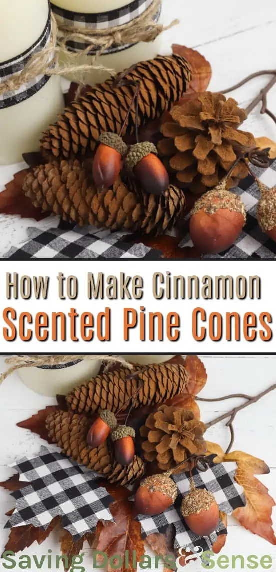 How to Make Cinnamon Scented Pine Cones - Saving Dollars and Sense