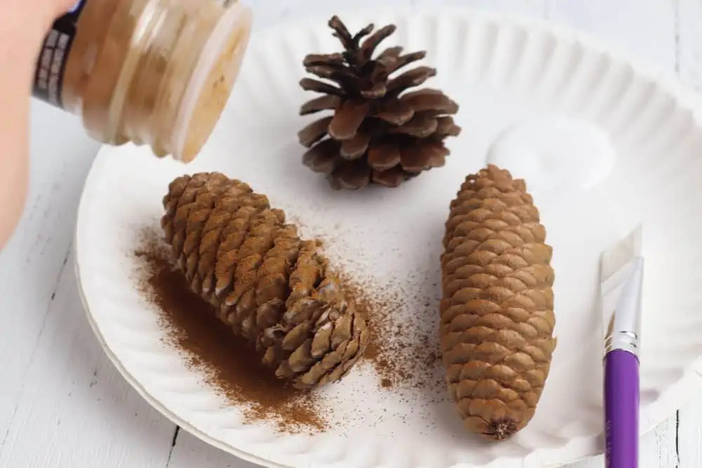 using cinnamon on pinecones