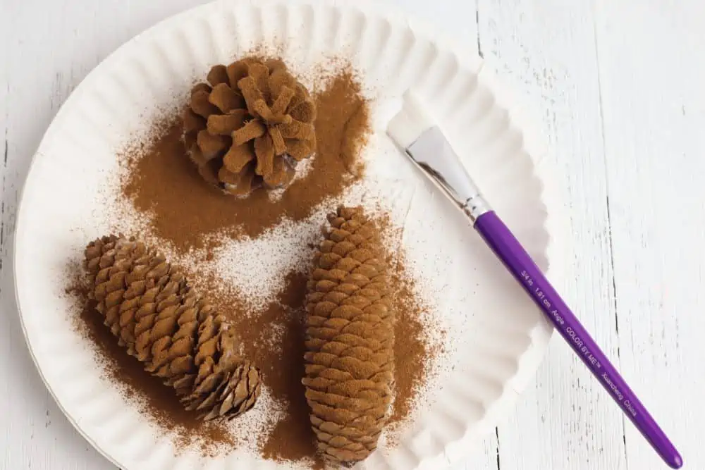 sprinkling pine cones with cinnamon