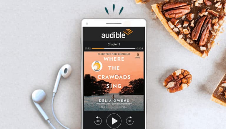 Free Amazon credit for Black Friday audible. 