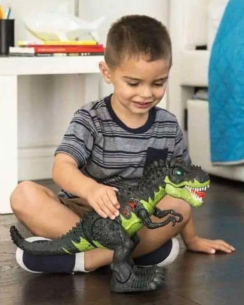 Little boy playing with walking t-rex dinosaur.