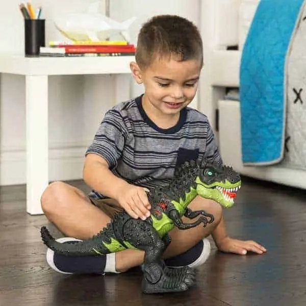 Little boy playing with walking t-rex dinosaur.