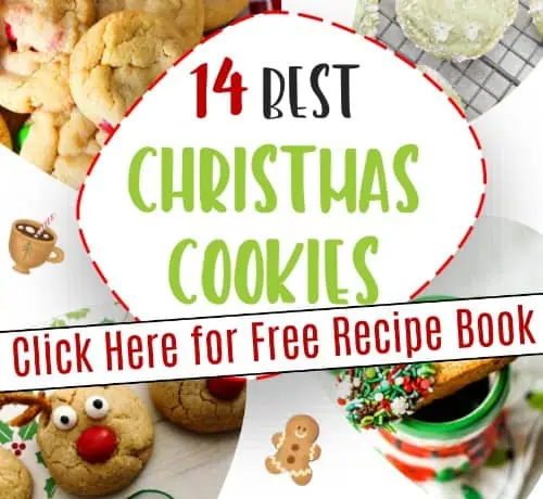 Free Christmas recipe book. 14 best Christmas cookie recipes.