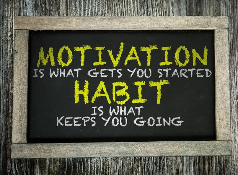 Quote about motivation and habits.