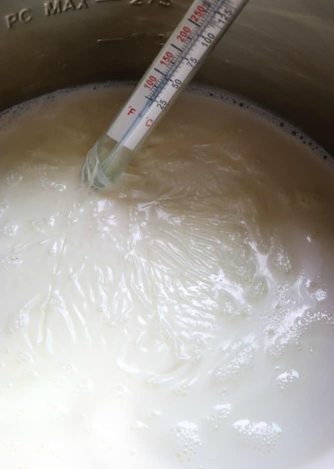 greek yogurt recipes