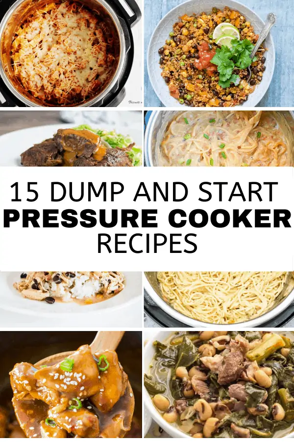 Pressure cooker dump discount recipes