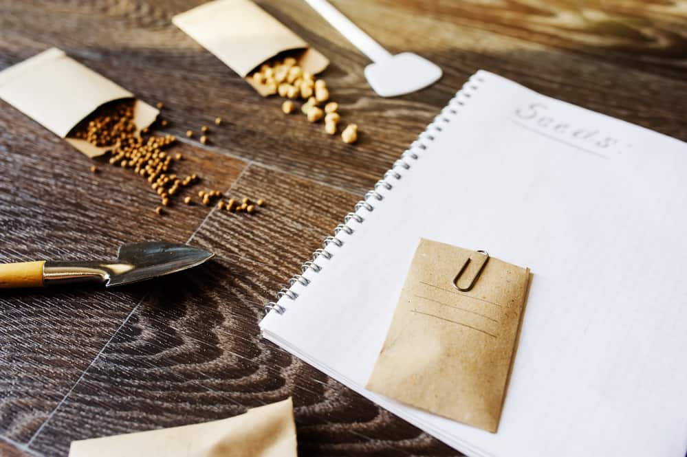 spring garden preparation for sowing vegetable seeds and planning. Pumpkin, coriander with labels, peat pots and tools on note book. Seasonal garden work.