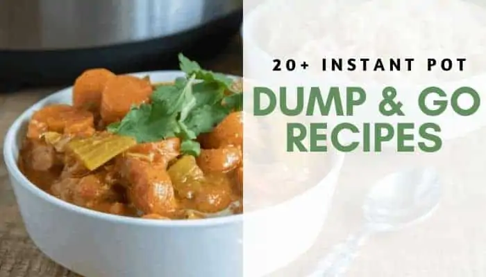 4 DUMP AND GO Instant Pot Recipes - Easy Instant Pot Recipes 