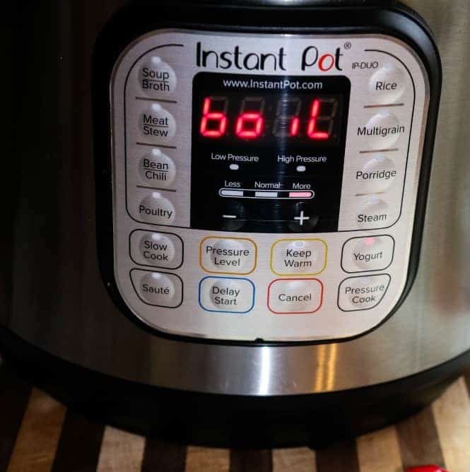 Instant pot cooking lessons.
