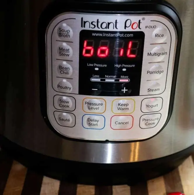 Instant pot cooking lessons.