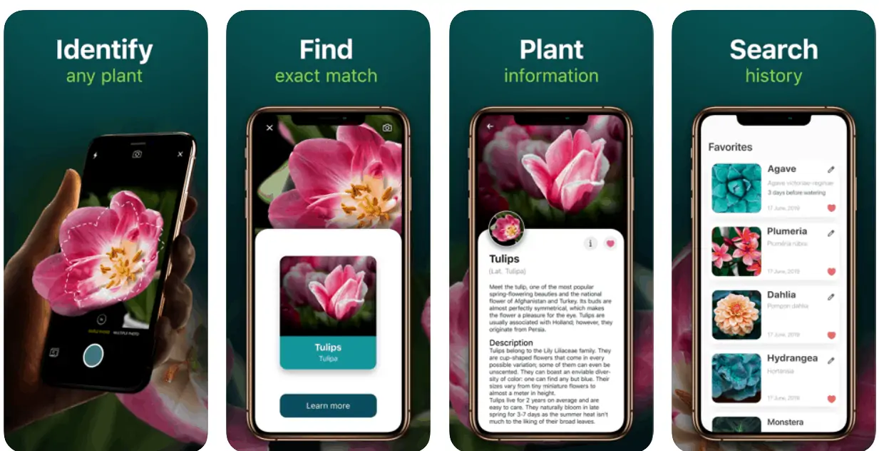 Leafsnap is a free Gardening Apps for gardeners.