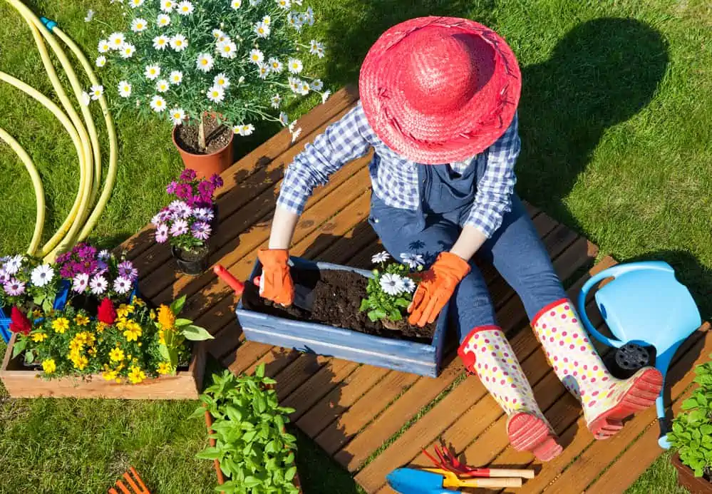 A gardener working hard planting flowers.