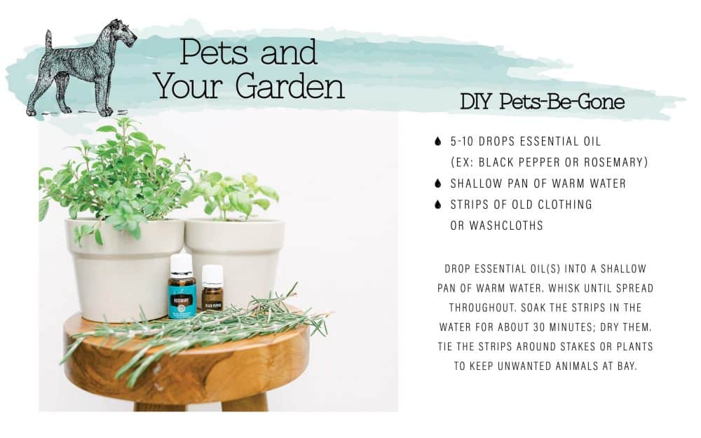 Gardening Tips and Tricks Journal & DIY Recipes Saving Dollars & Sense