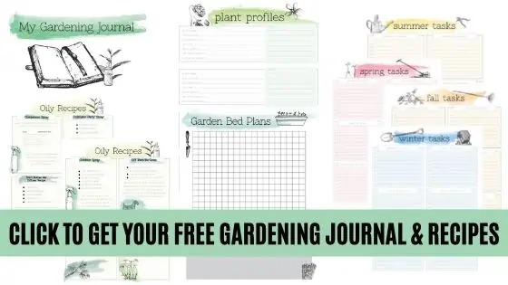 Get your free gardening journal and recipes.