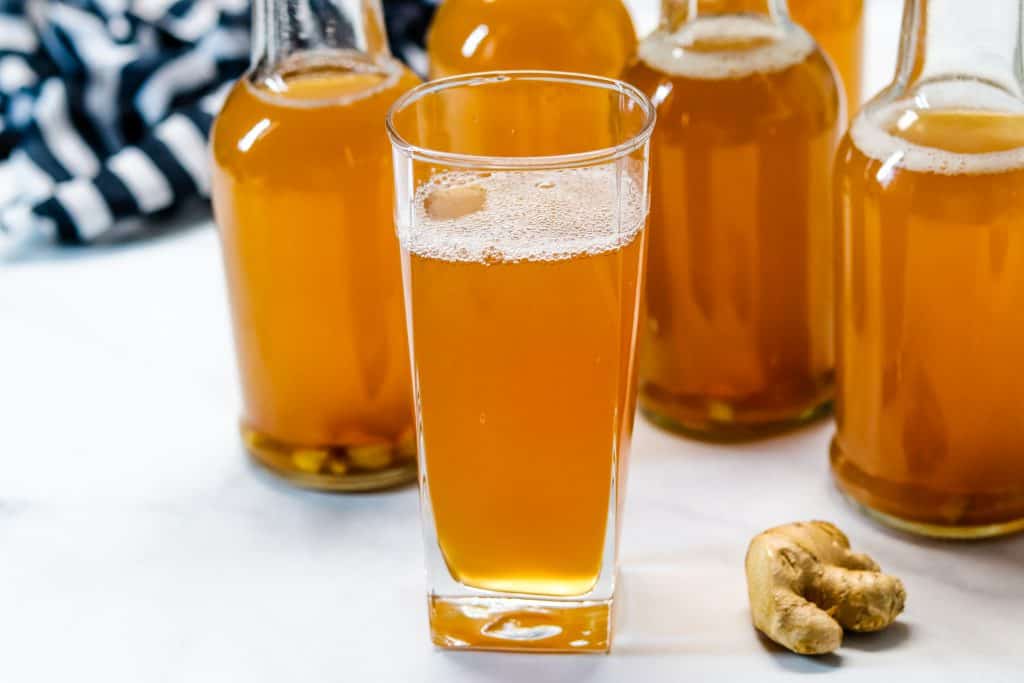 Homemade Ginger Kombucha Recipe Saving Dollars & Sense