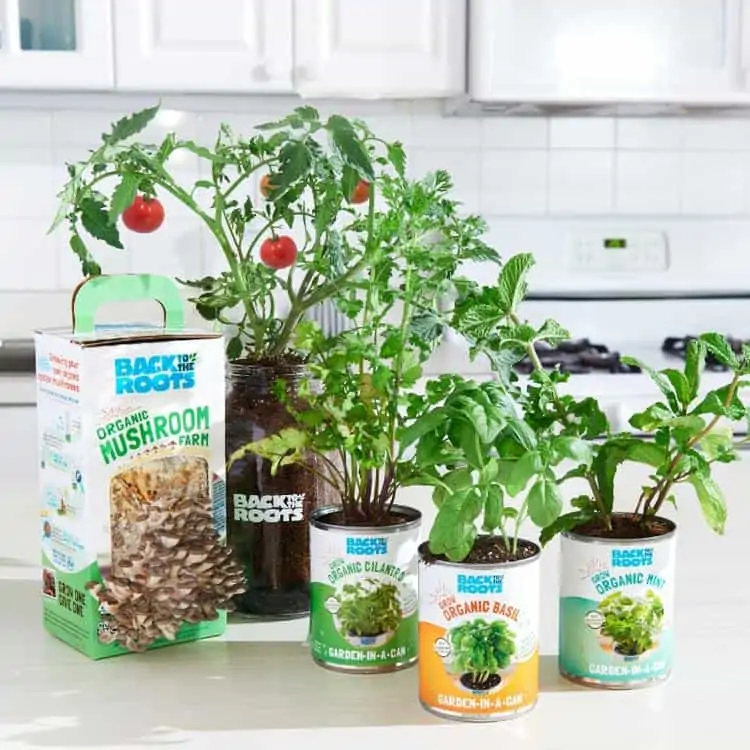 Free organic gardening kit for kids.
