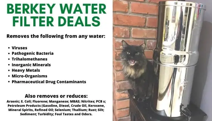 A cat sitting next to a water filter from Berkey water filter deals.