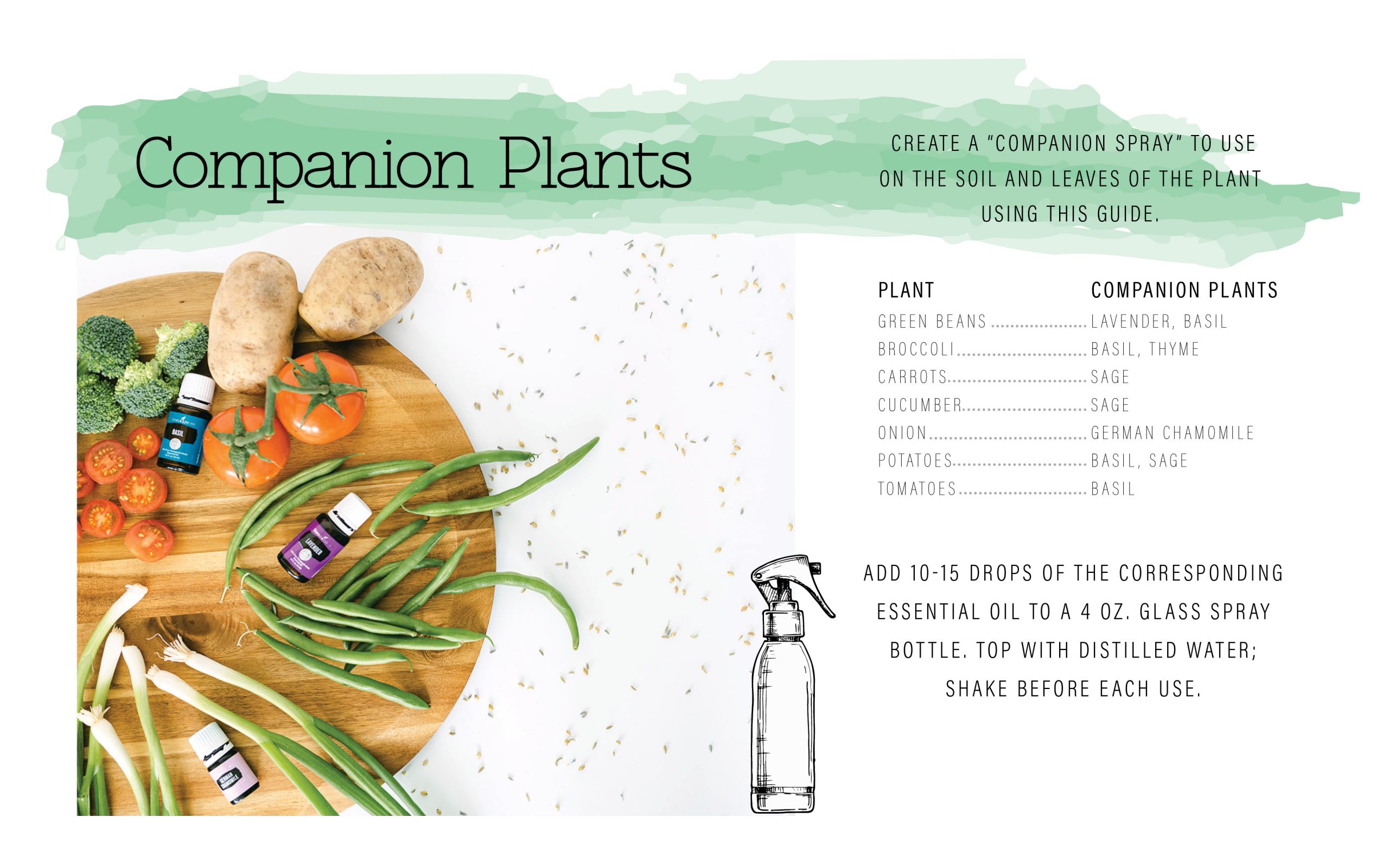 Companion plants. What to plant with each other.