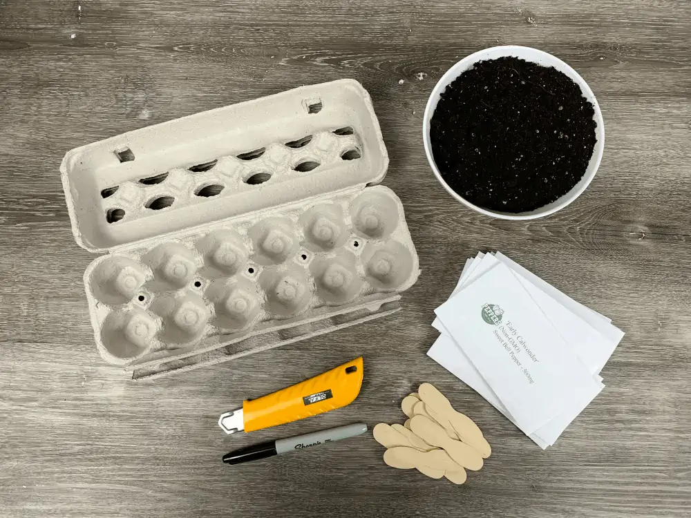 How to Plant Seeds Using an Egg Carton