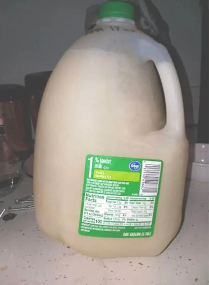 frozen gallon of milk