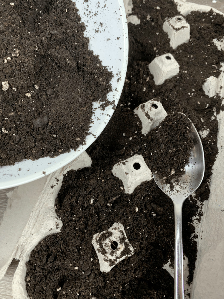 Pour fertilizer to Plant Seeds Using an Egg Carton