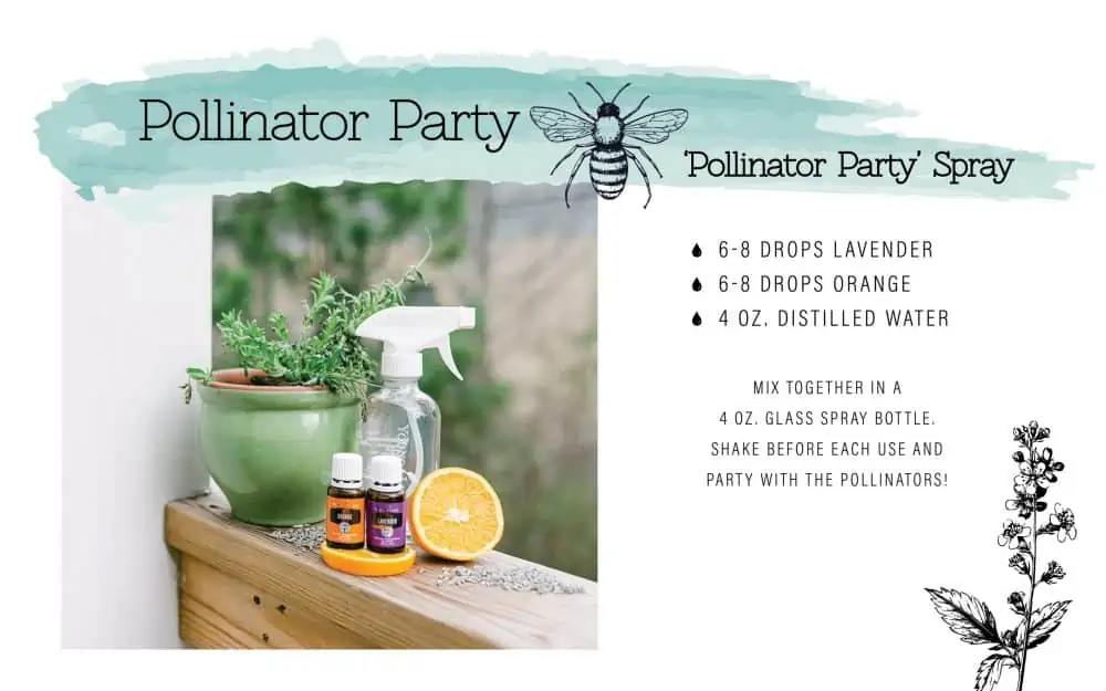 Pollinator spray recipe.