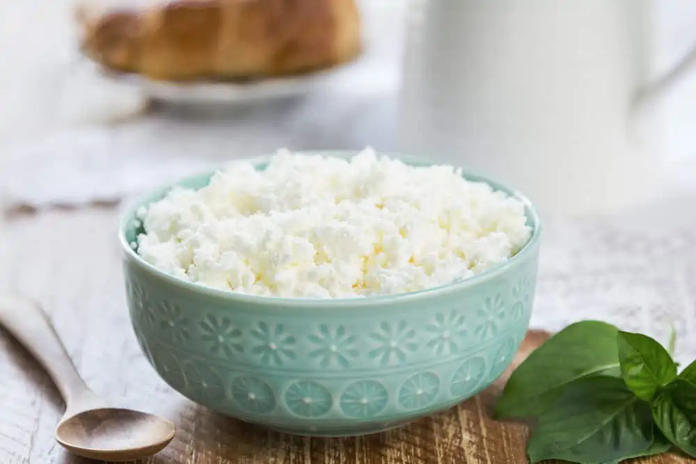 Homemade Ricotta cheese by a jug of milk