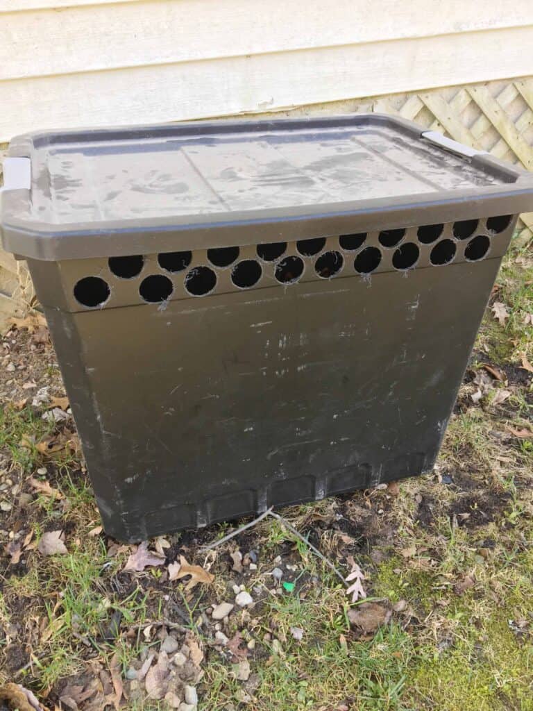 How to Make a Worm Bin Compost