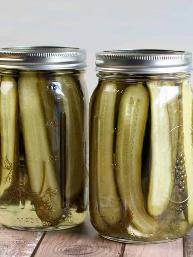 How to Make Dill Pickles Story Saving Dollars and Sense