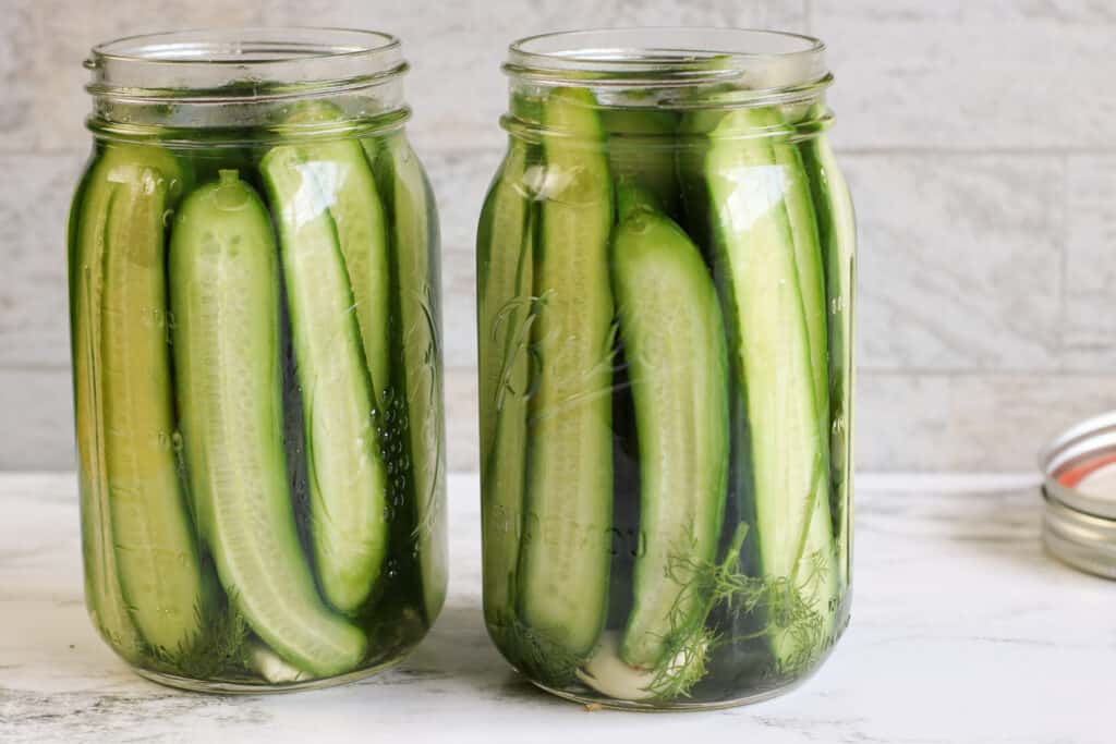 Multiple sliced cucumbers in a jar to be pickled.
