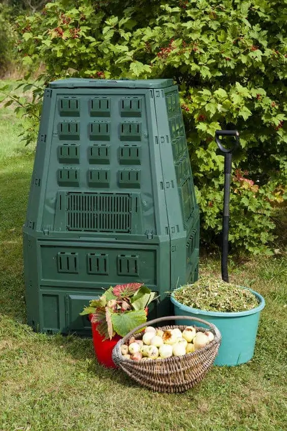 Compost bin outside with items that can go into the compost bin.