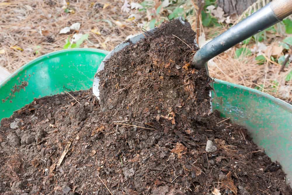 wheel barrel full of mulch with someone removing a shovel full of mulch. 