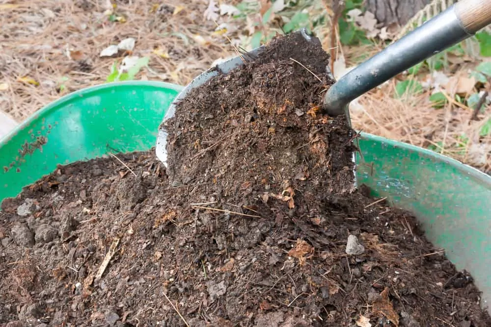 wheel barrel full of mulch with someone removing a shovel full of mulch. 