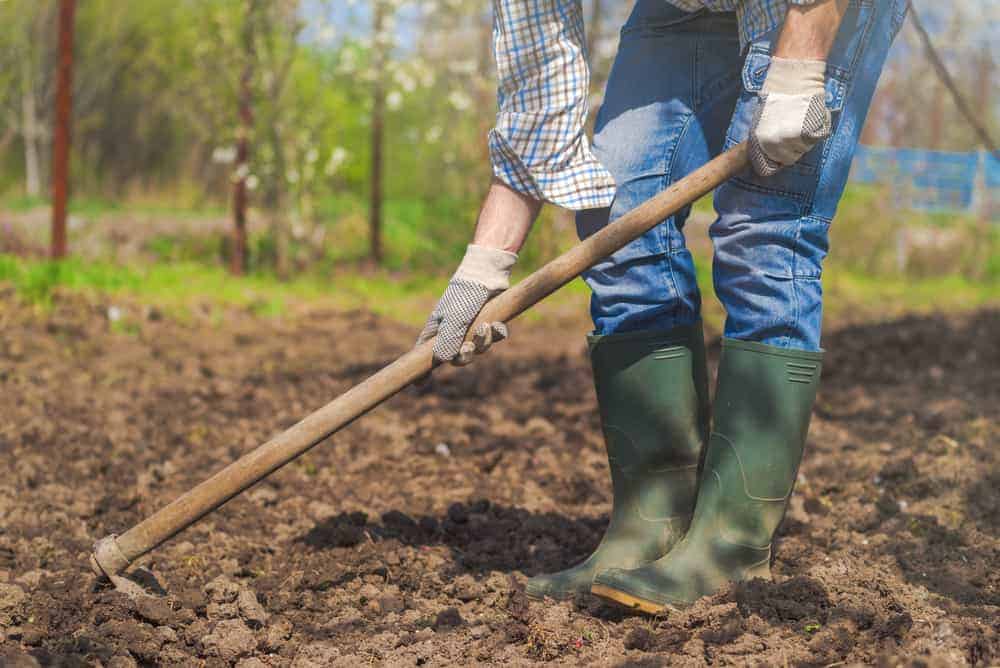 Woman gardening in the spring. Hoe in the ground.