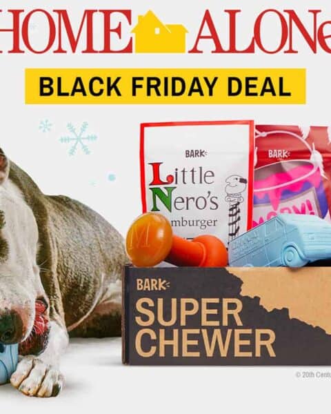 Home Alone Super Chewer dog box.