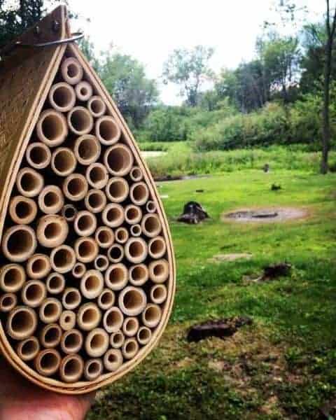Tear drop shaped bee house.