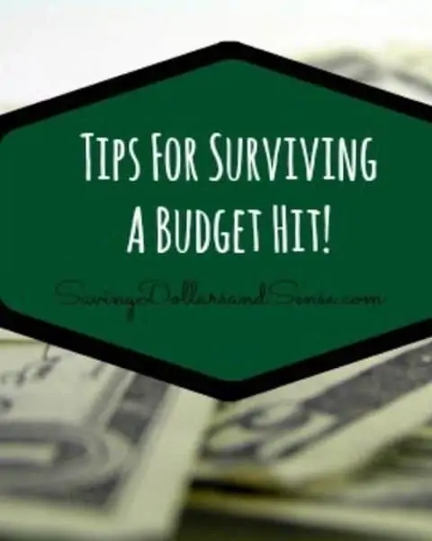 An overlay of money with the words "Tips for surviving a budget hit."