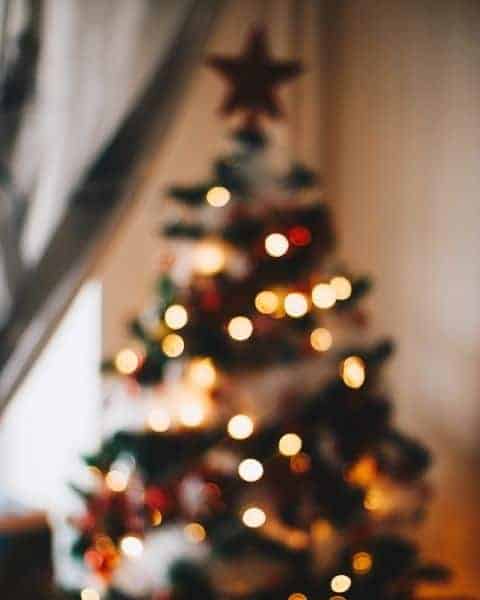 A lighted Christmas tree in the living room.
