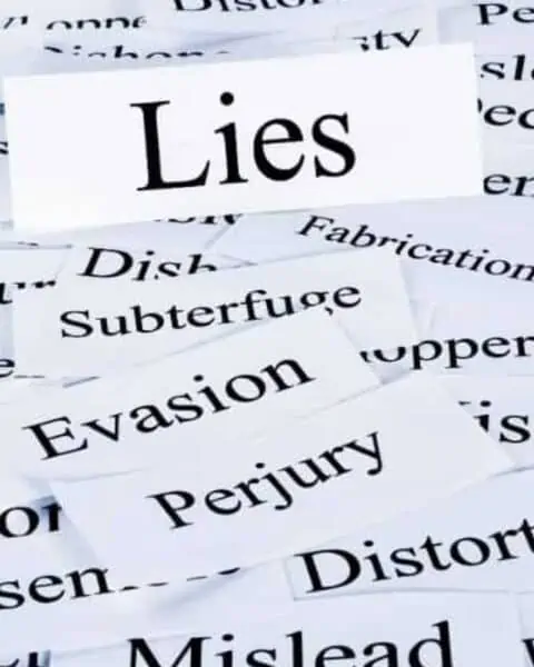 Slips of paper with words on them, including, lies, evasion, perjury, mislead, and more.